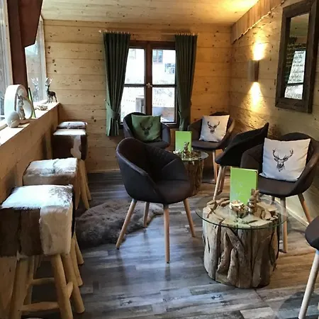 Almhotel Gruensteinblick Hotel 4*