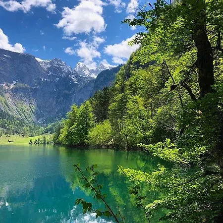 Almhotel Gruensteinblick Hotel 4*