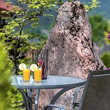 Almhotel Gruensteinblick - Adults Only 4*